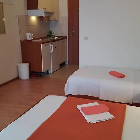 With A Parking Space Gradac, Makarska - 11332 Gradac (Split-Dalmatia)